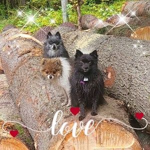 Meet your Posher, Cheryl